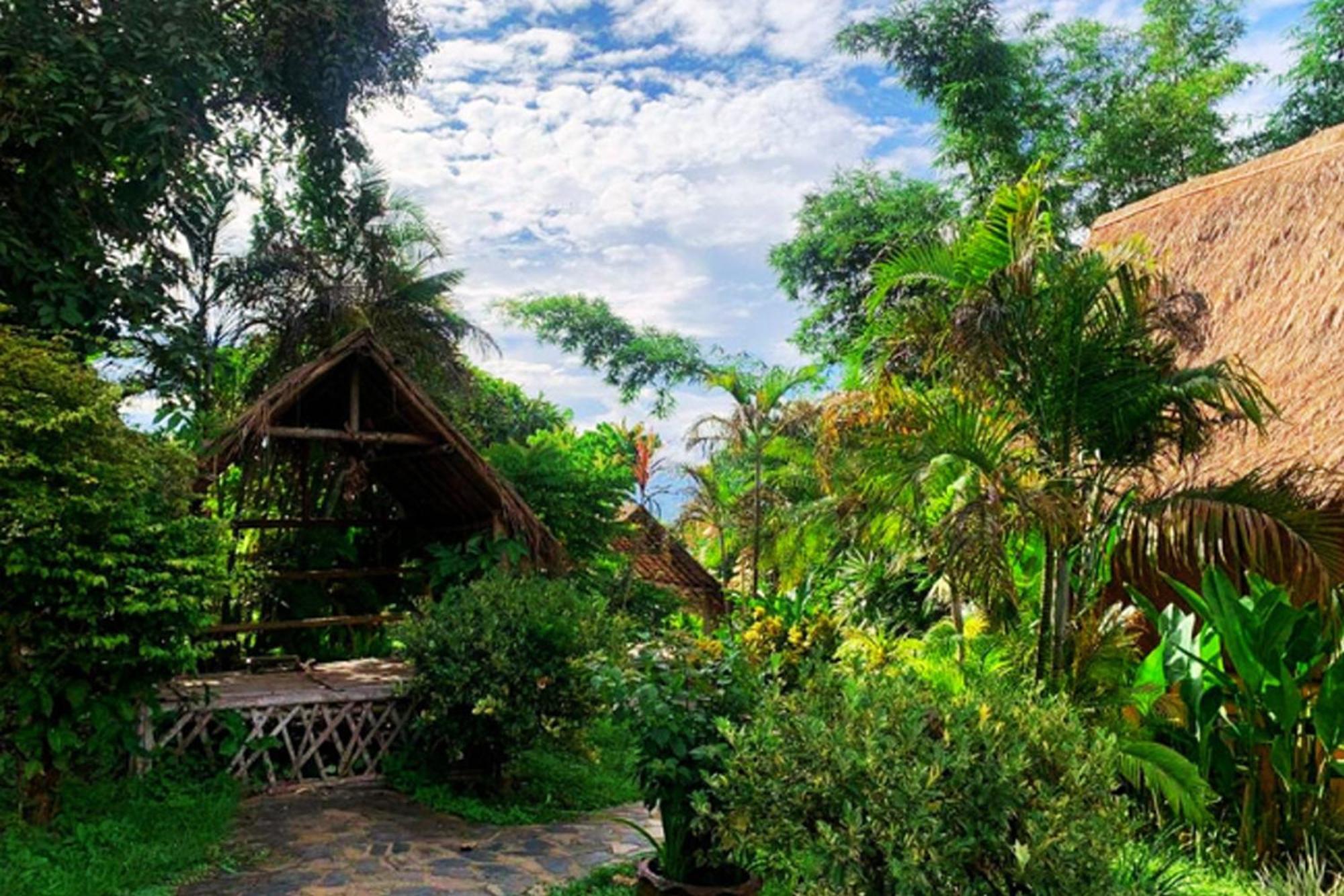 Отель Old Tree'S House Mae Ai Экстерьер фото